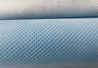 安平(PP)丙纶无纺布跟(PET)涤纶无纺布的区别