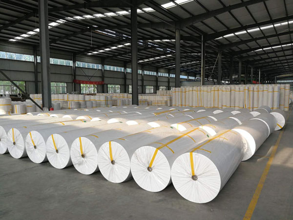 安平狭缝式涤纶纺粘无纺布